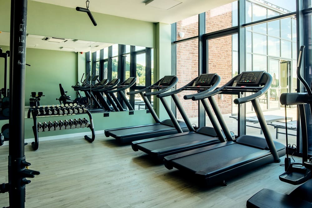 A modern gym with several treadmills, a row of dumbbells on a rack, and large floor-to-ceiling windows letting in natural light.